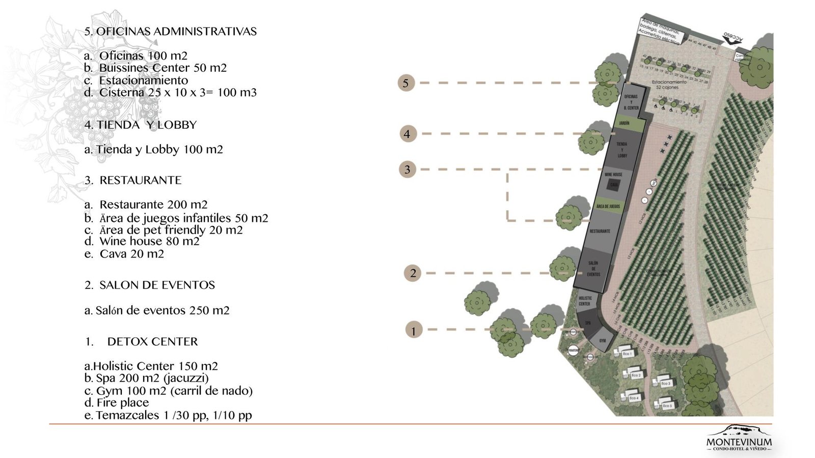 Montevinum - Imagen 14